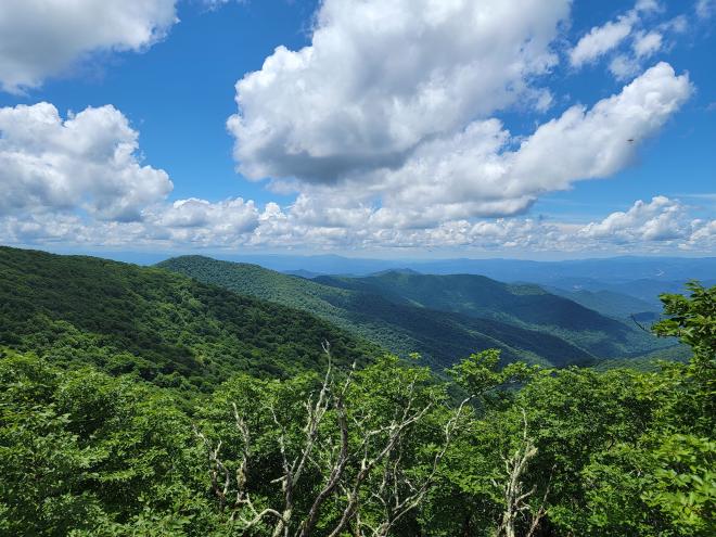 Mount Mitchell View