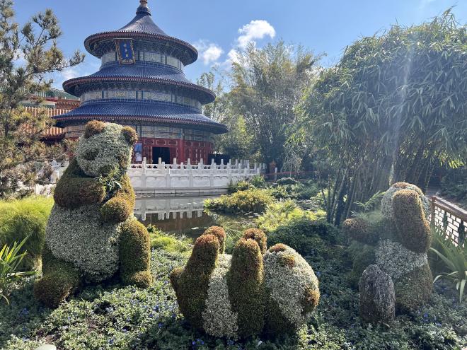 Epcot Pandas